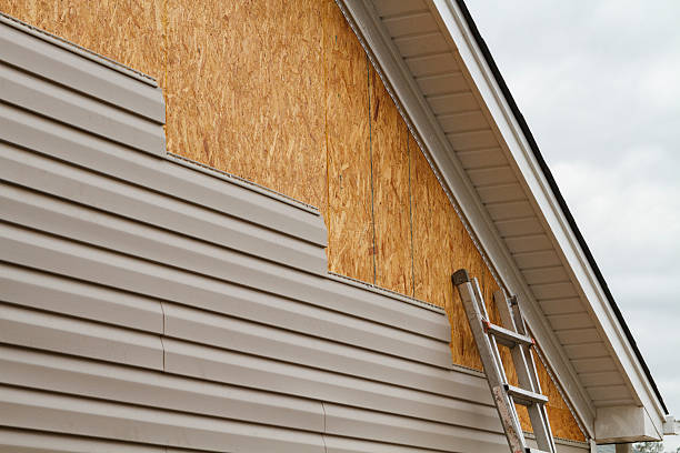Professional Wood Siding technician working in Diamond, IL